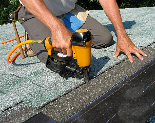 Best Roof Gutter Cleaning  in Eagle Grove, IA