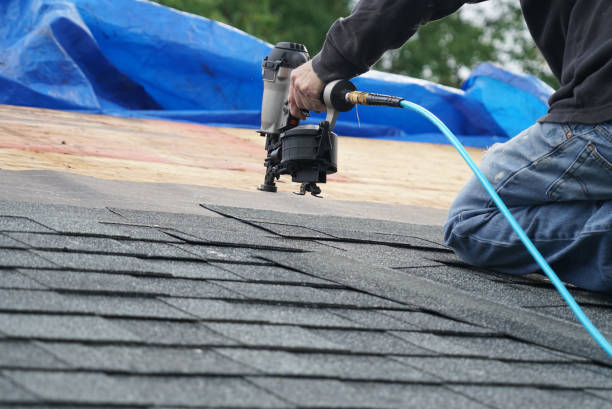 Best Storm Damage Roof Repair  in Eagle Grove, IA